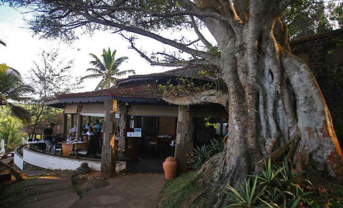Niraamaya Wellness Retreats, Surya Samudra, Kovalam Luaran gambar